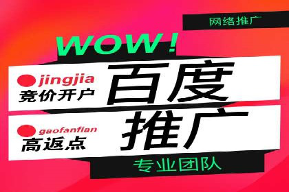 百度信息流在电商行业的营销效果案例